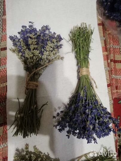 Лаванда букеты сухоцветов (синяя и сине-белая)