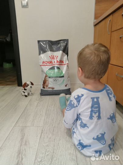 Корм сухой для кошек Digestive 10 кг royal canin