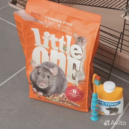 Клетка для грызунов со всем необходимым