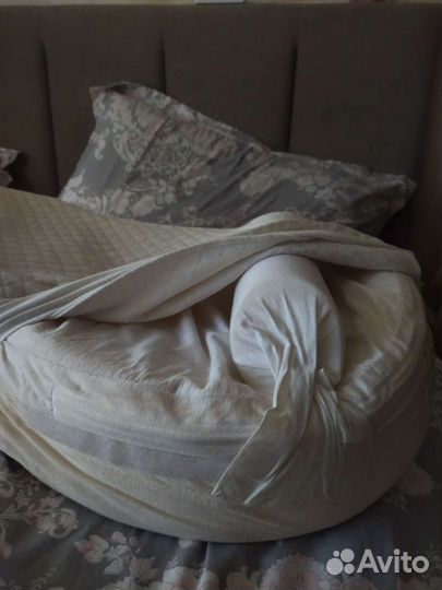 Кокон red castle имеется сертификат оригинальности