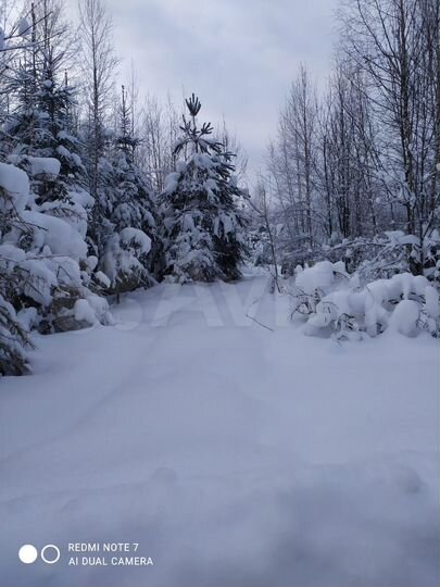 Участок 1,82 га (ИЖС)