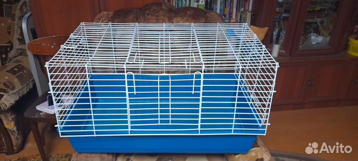 Клетки разных размеров