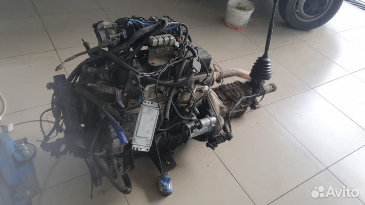 Матор эвотек