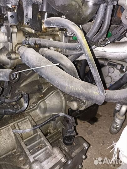 Двигатель 1.4 G4EE kia hyundai