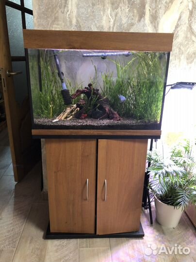 Аквариум 50 л с рыбками и внешним фильтром