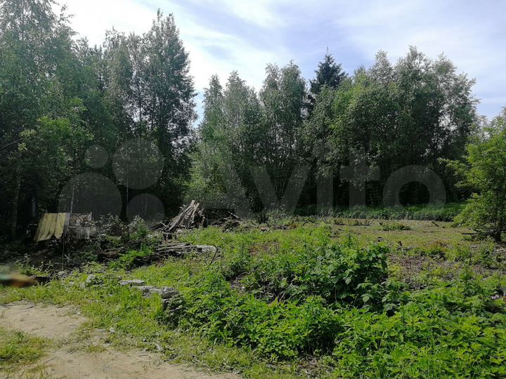 Участок 9 сот. (СНТ, ДНП)