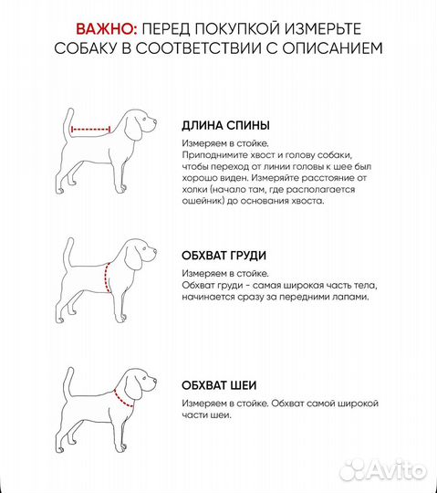 Комбинезон для средней собаки зима