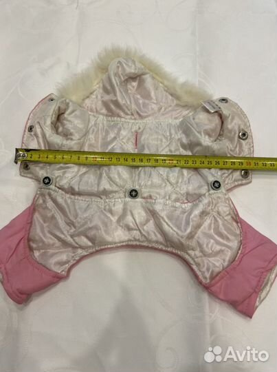 Одежда для собак