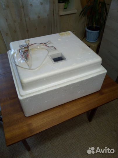 Клетки, инкубатор