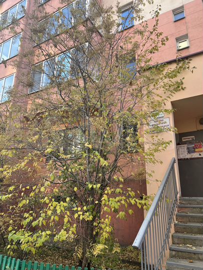 2-к. квартира, 45 м², 2/5 эт.