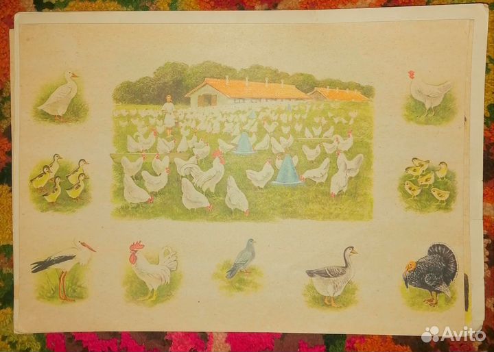 Обучающие карточки