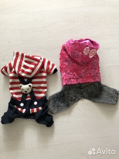 Одежда для собак