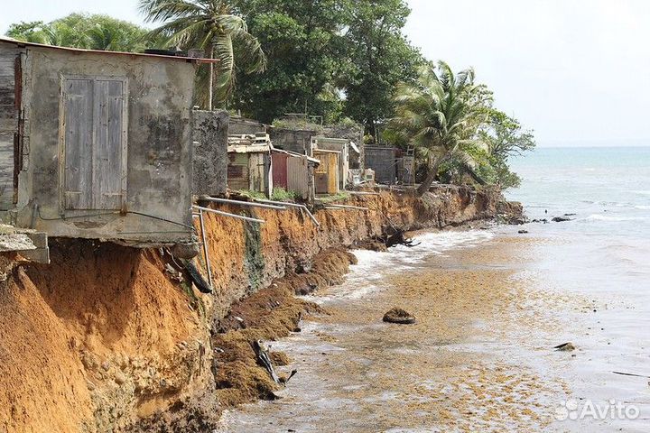 Canon eos D60 и объектив Canon EF 35 mm F2.0