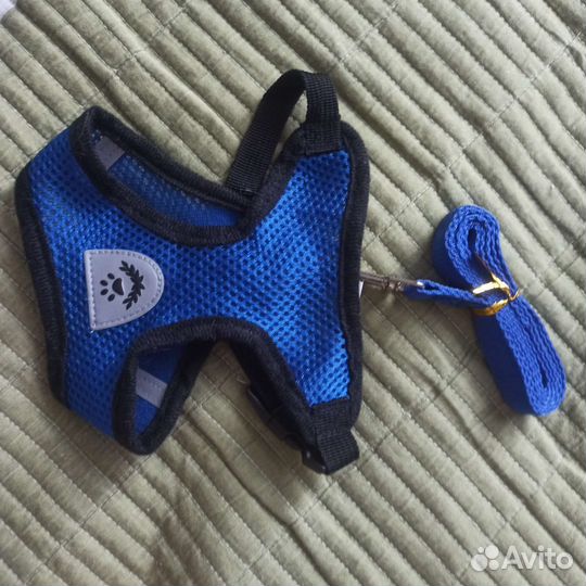 Шлейка для кошки