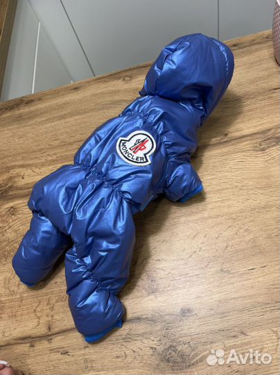 Комбинезон для собак маленьких пород