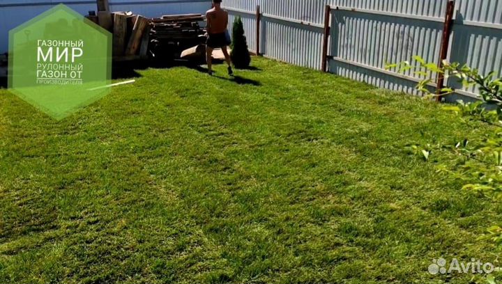 Рулонный газон