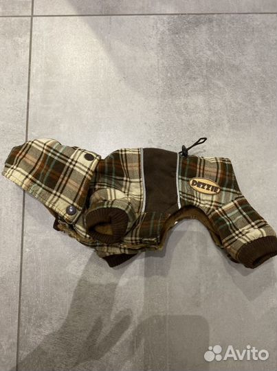 Комбинезон для маленькой собаки