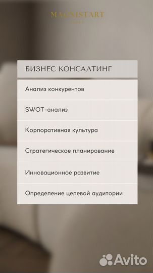 Консультация : Запуск бизнеса, Создание Стартапа