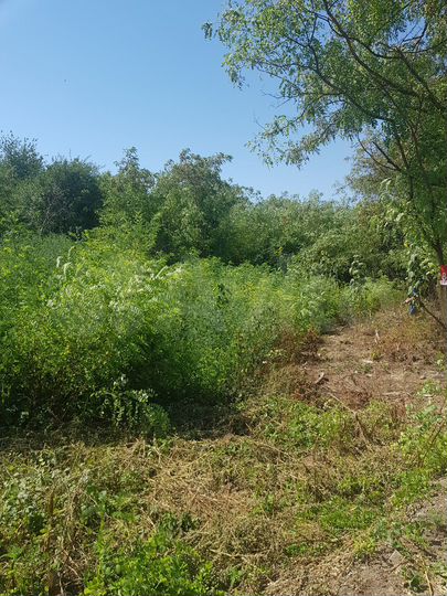 Участок 13,5 сот. (ИЖС)