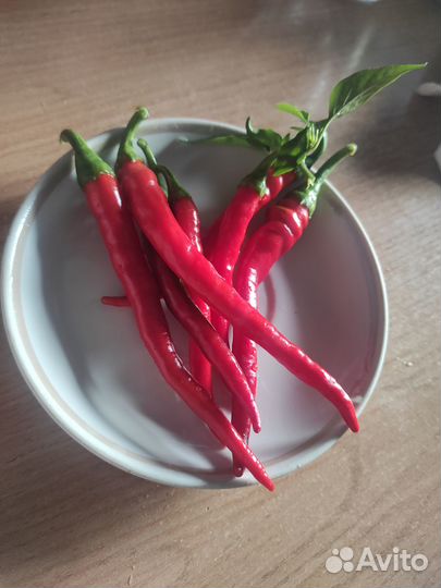 Перец острый