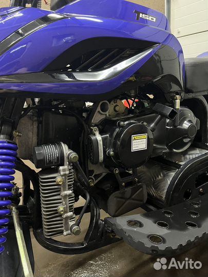 Dingo T150