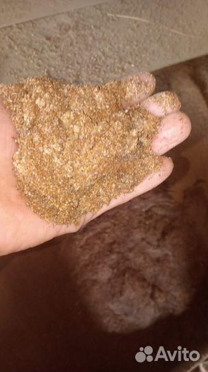 Лузга (шелуха) пшена(проса)