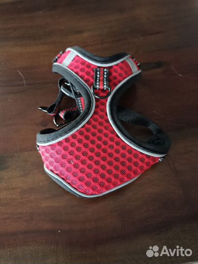Шлейка+поводок