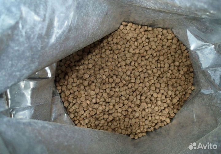 Сухой корм для собак