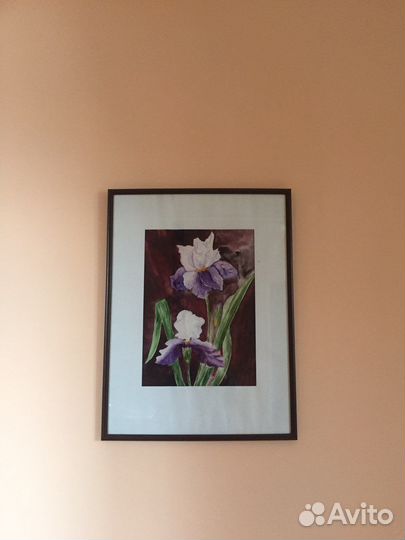 Картина акварель Ирисы