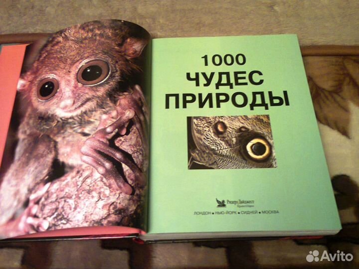 1000 чудес природы