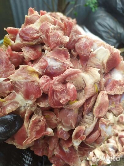 Желудок куриный