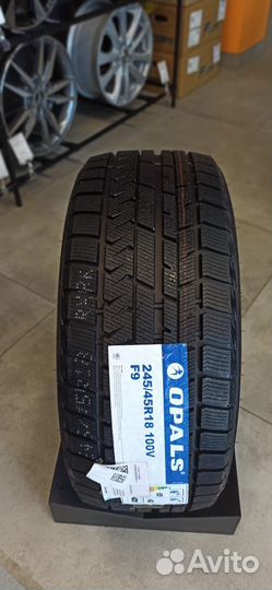 Opals SilverSnow F9 215/65 R16