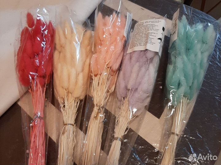 Сухоцветы лагурус