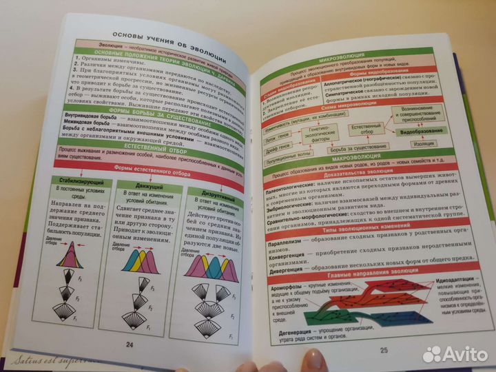Справочник в таблицах