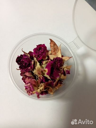 Сухоцветы для творчества