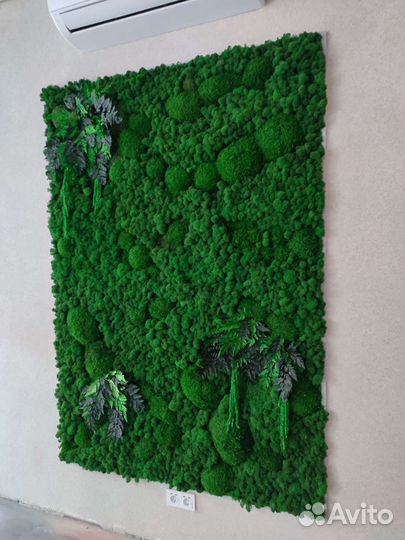 Озеленение стабилизированным мхом