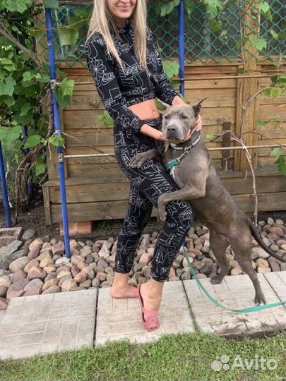 Спортивный костюм женский