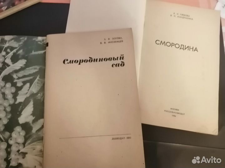 Книги-брошюры Плодово-ягодн.культуры.Малина,Яблоня