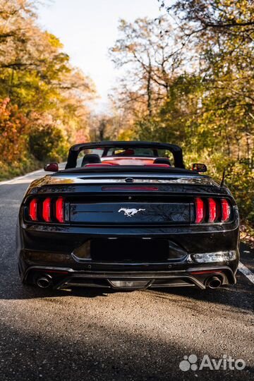 Аренда прокат ford mustang чёрный