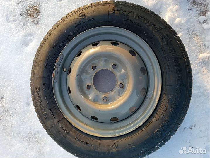 Forward Professional 218 175/75 R16