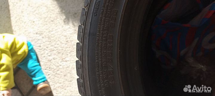 Goodyear Ice Navi Zea