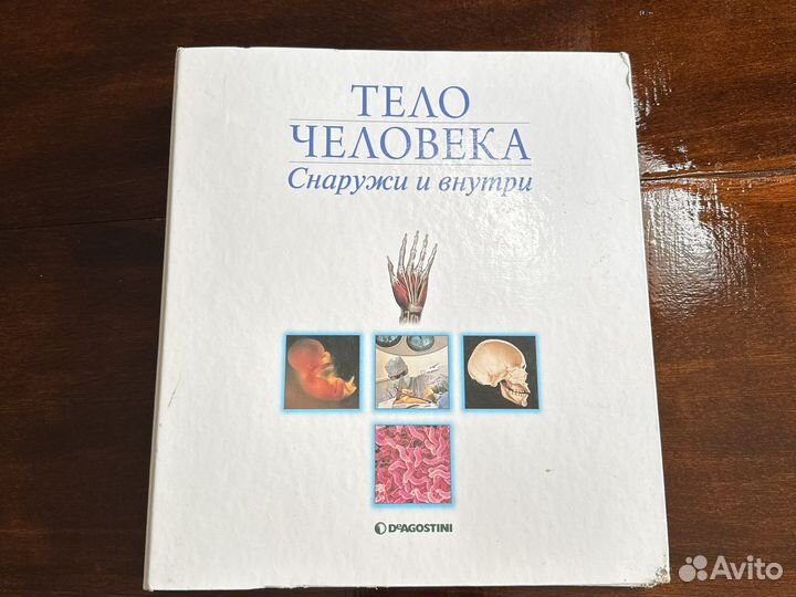 Книга, Тело человека. Снаружи и внутри