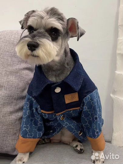 Джинсовая куртка gucci