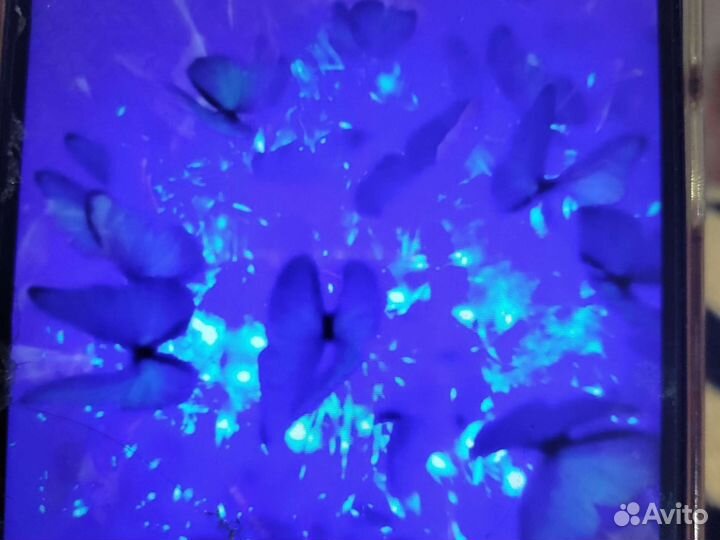 Коралл балянус