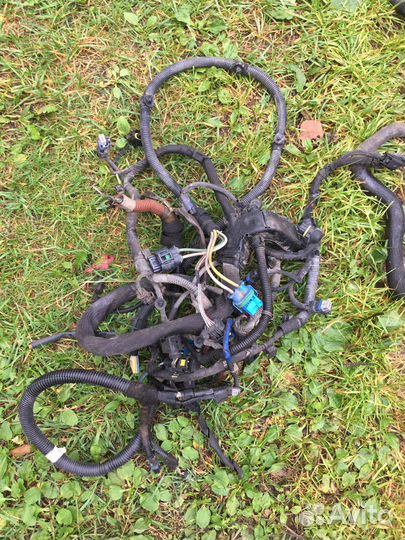 Проводка двигателя EP6/EP6C 1.6л Ситроен С4