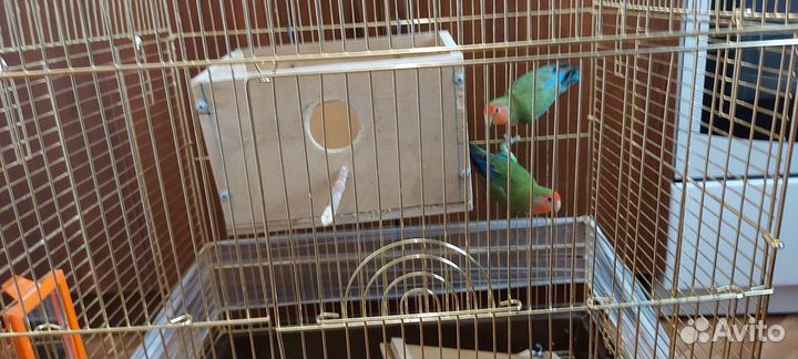Клетка для попугая
