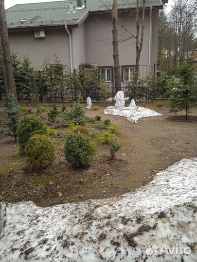 Ищу работу Капат ламат касит пакрасит и другое