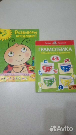 Грамотейка. Развиваем интеллект. О. Земцова