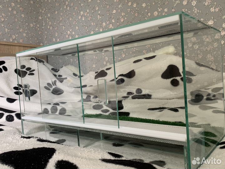 Террариум для рептилий