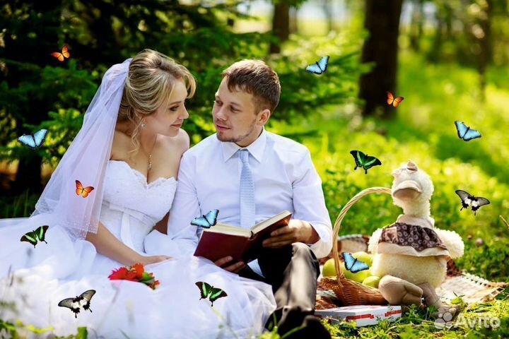 Салют из Живых Тропических Бабочек с/б-32